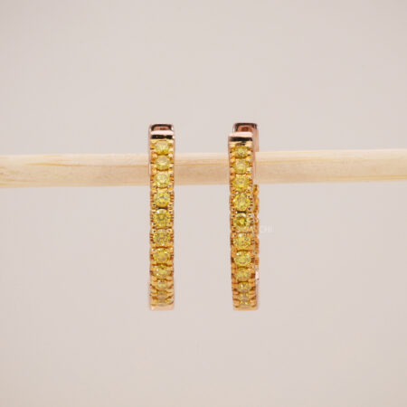 Golden Aurora Hoops Earrings