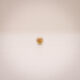Citrina Core