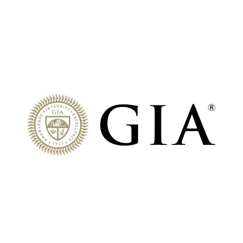 logo (6)